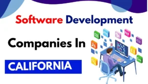 software development company in california