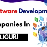 software development company in siliguri